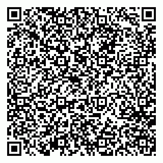 vCard 79613387653