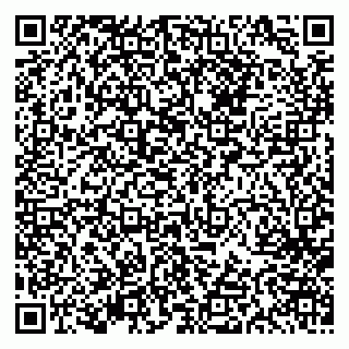 vCard 79613387667