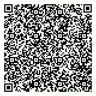 vCard 79613387673