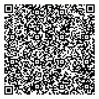 vCard 79613387677
