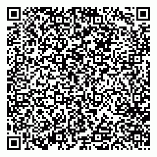 vCard 79613387680