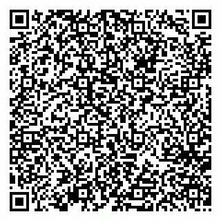 vCard 79613387681