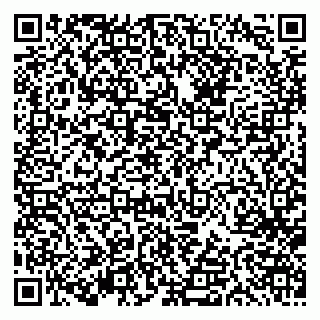 vCard 79613387682
