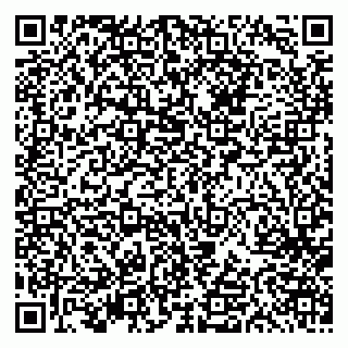vCard 79613387684