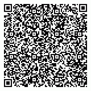 vCard 79613387686