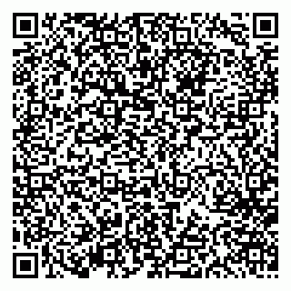 vCard 79613387687