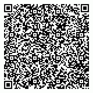 vCard 79613387689