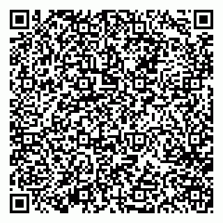 vCard 79613387697