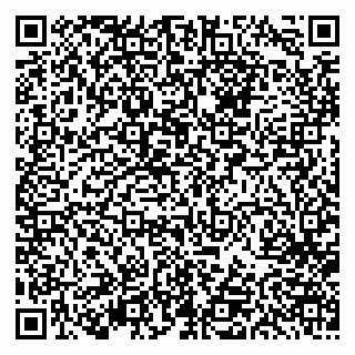 vCard 79613387699