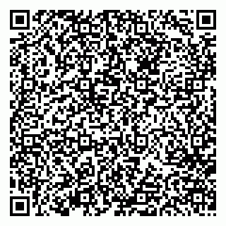 vCard 79613387701