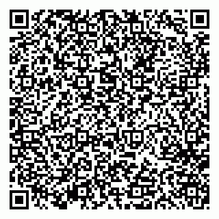 vCard 79613387702
