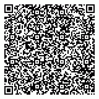 vCard 79613387704