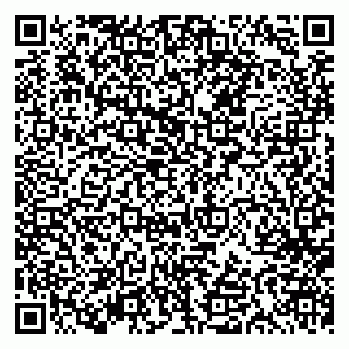 vCard 79613387706