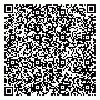 vCard 79613387709