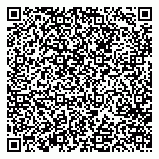 vCard 79613387710