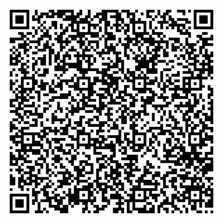 vCard 79613387713