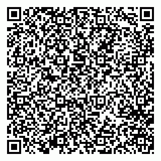vCard 79613387717