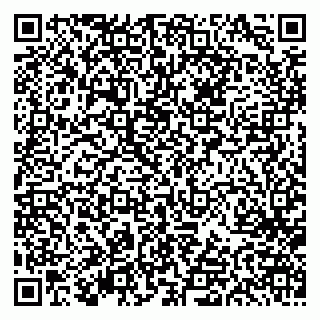 vCard 79613387721