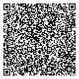 vCard 79613387729