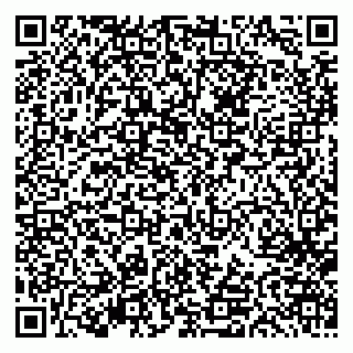vCard 79613387730
