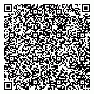 vCard 79613387731