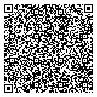 vCard 79613387732