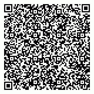 vCard 79613387733