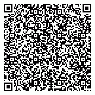vCard 79613387735