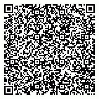 vCard 79613387737
