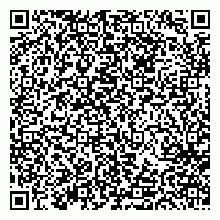 vCard 79613387740