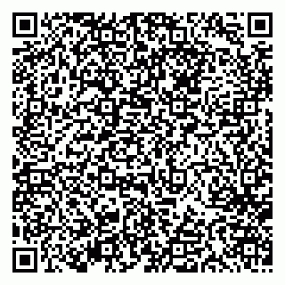 vCard 79613387746
