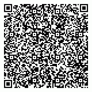 vCard 79613387751
