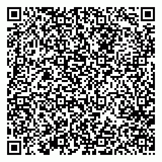 vCard 79613387755