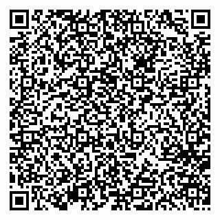 vCard 79613387765