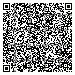 vCard 79613387771