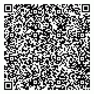 vCard 79613387774