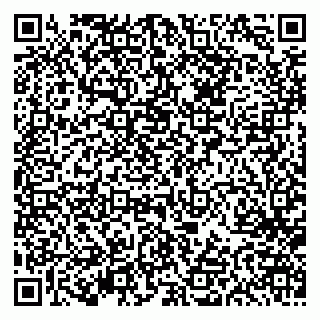 vCard 79613387775