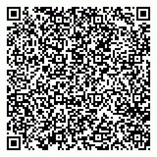 vCard 79613387776