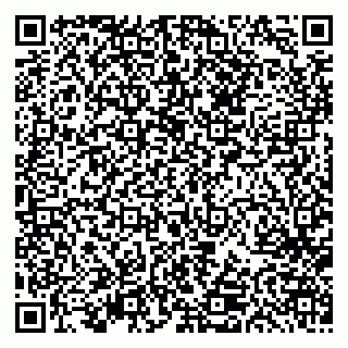 vCard 79613387778