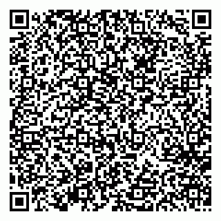 vCard 79613387781