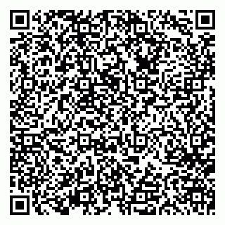 vCard 79613387782