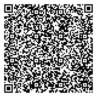 vCard 79613387783