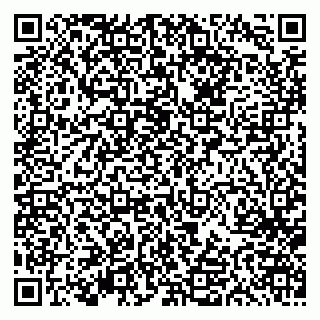 vCard 79613387784