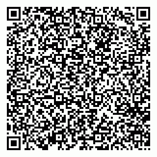vCard 79613387785
