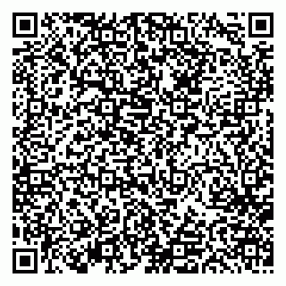 vCard 79613387790