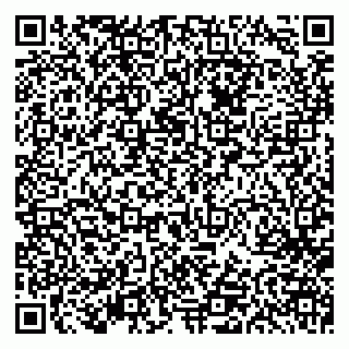 vCard 79613387799