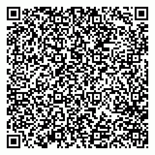 vCard 79613387800
