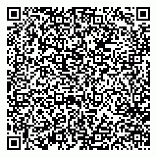 vCard 79613387801