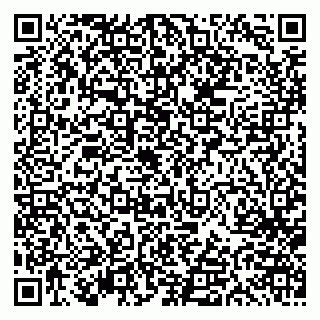 vCard 79613387802