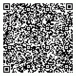 vCard 79613387805